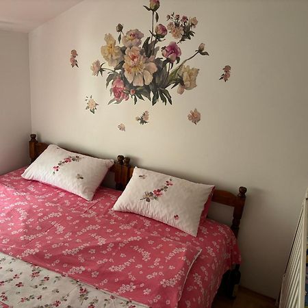 Elena Apartment Plužine Buitenkant foto