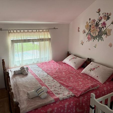 Elena Apartment Plužine Buitenkant foto
