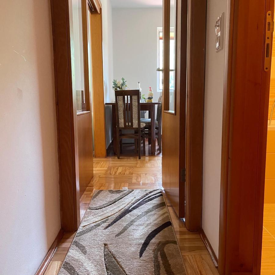 Elena Apartment Plužine Buitenkant foto