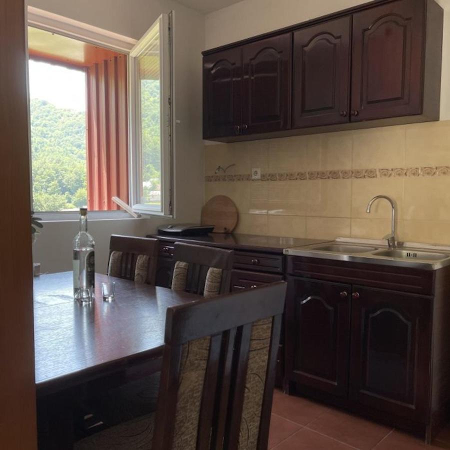 Elena Apartment Plužine Buitenkant foto