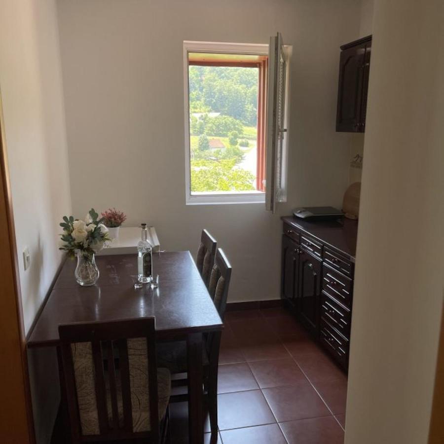 Elena Apartment Plužine Buitenkant foto