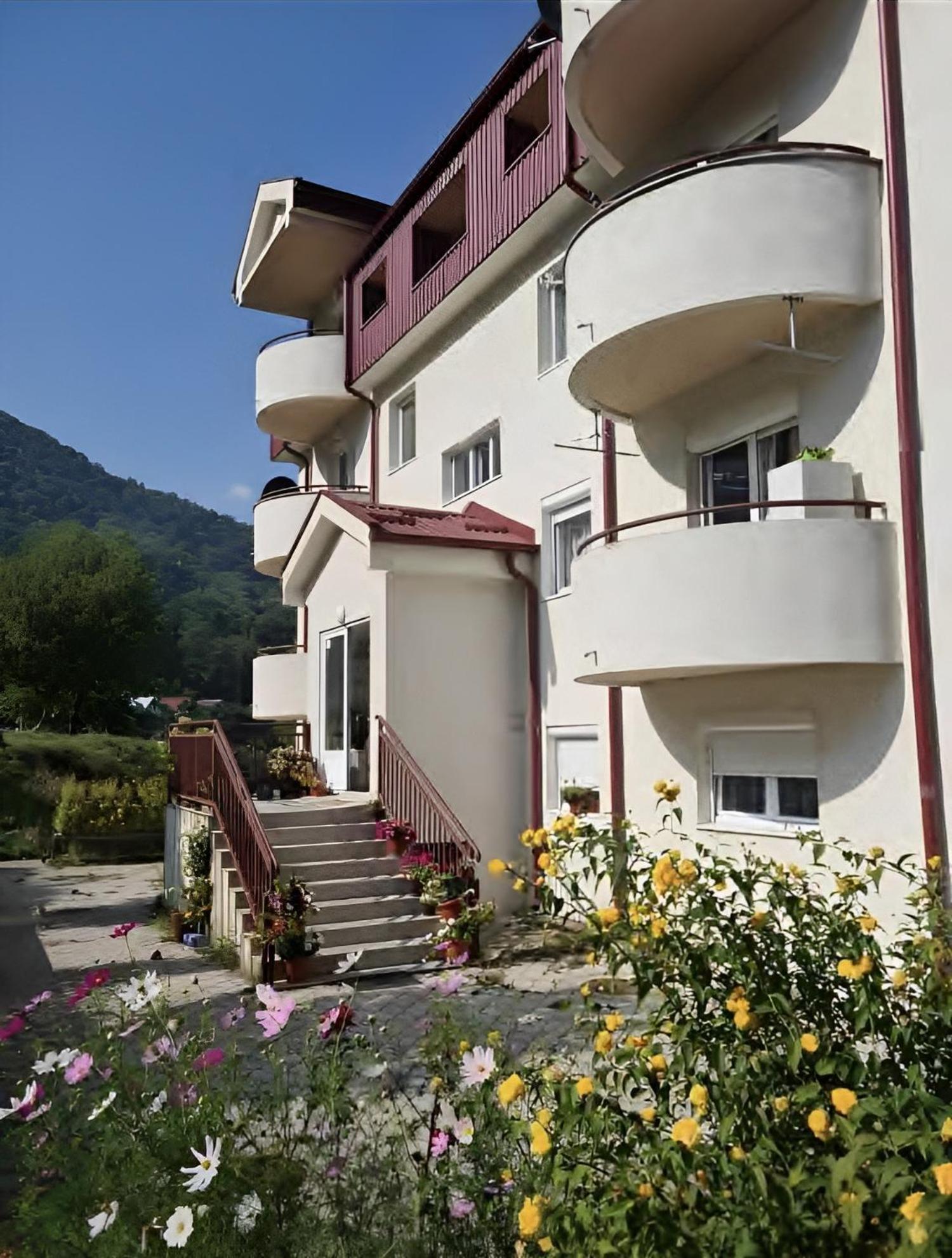 Elena Apartment Plužine Buitenkant foto